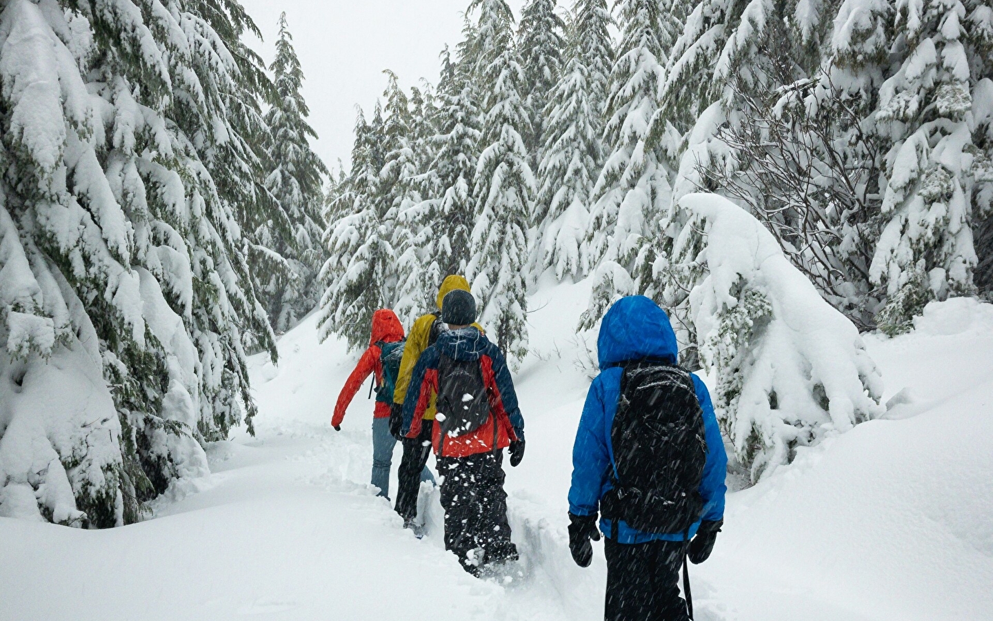 Skischule Haut-Jura - Lajoux: Schneeschuh-Nachtwanderung