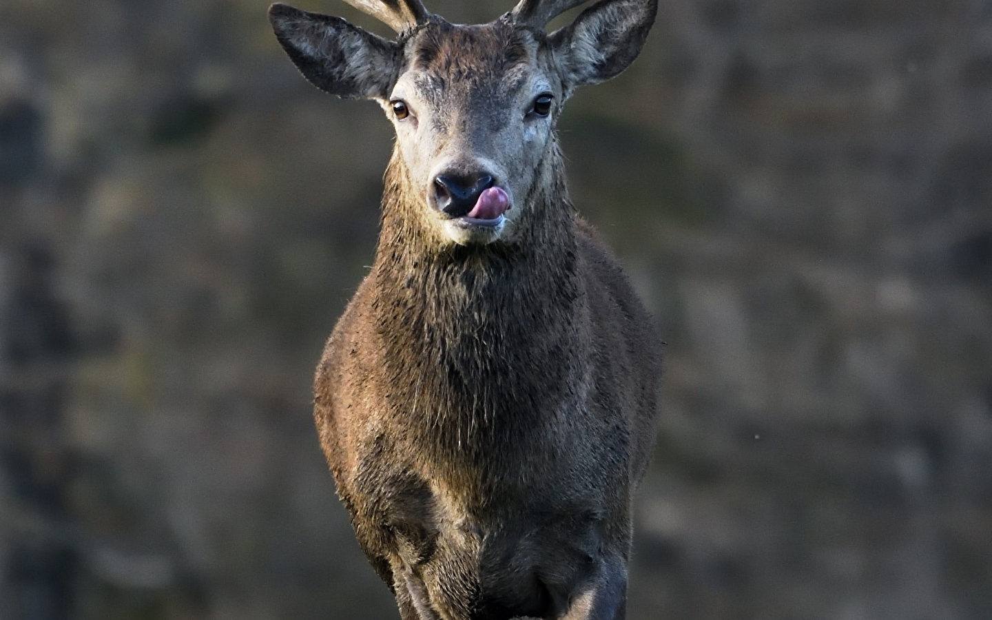 Coup d'œil photographies - Coups de cœur
