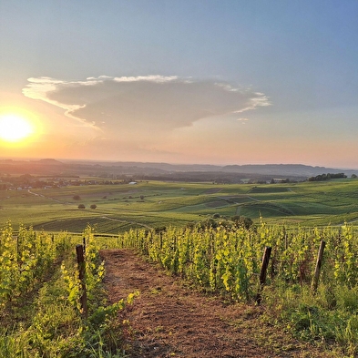 Wanderung Nachtpicknick
