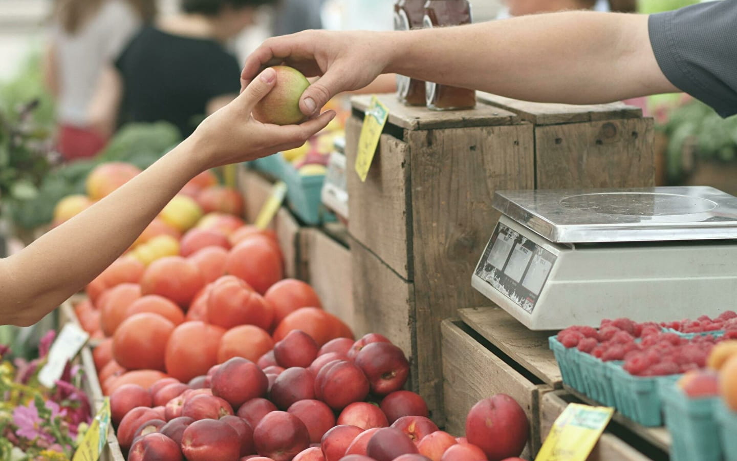 Wochenmarkt in L'Isle-sur-le-Doubs