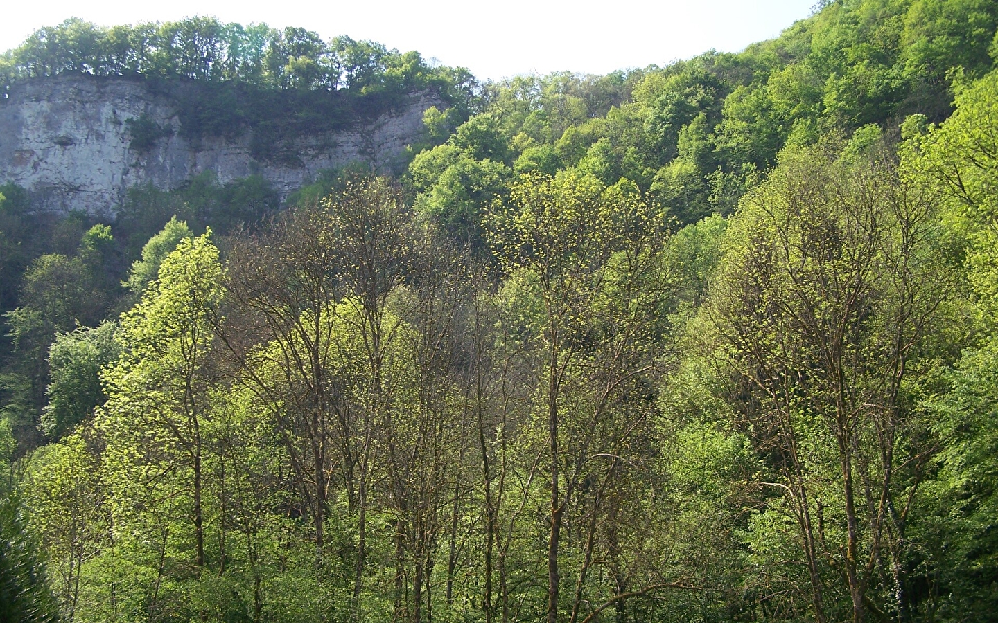 Das Val de Cusance (über das Kreuz von Saint-Erminfroi)