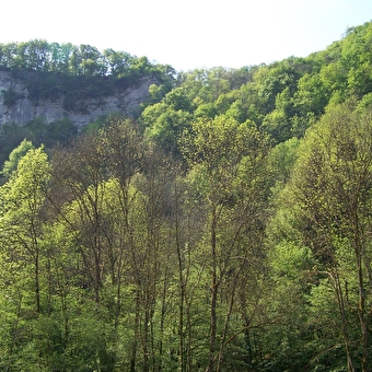 Das Val de Cusance (über das Kreuz von Saint-Erminfroi) - CUSANCE