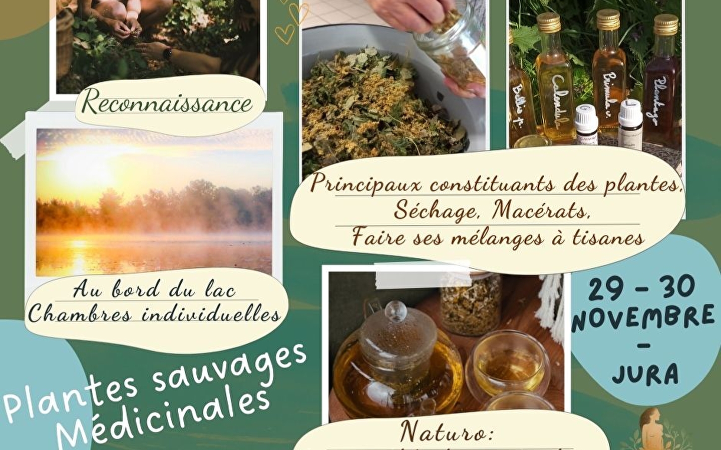 Pflanzenpraktikum im Winter: Atmen und Licht kultivieren