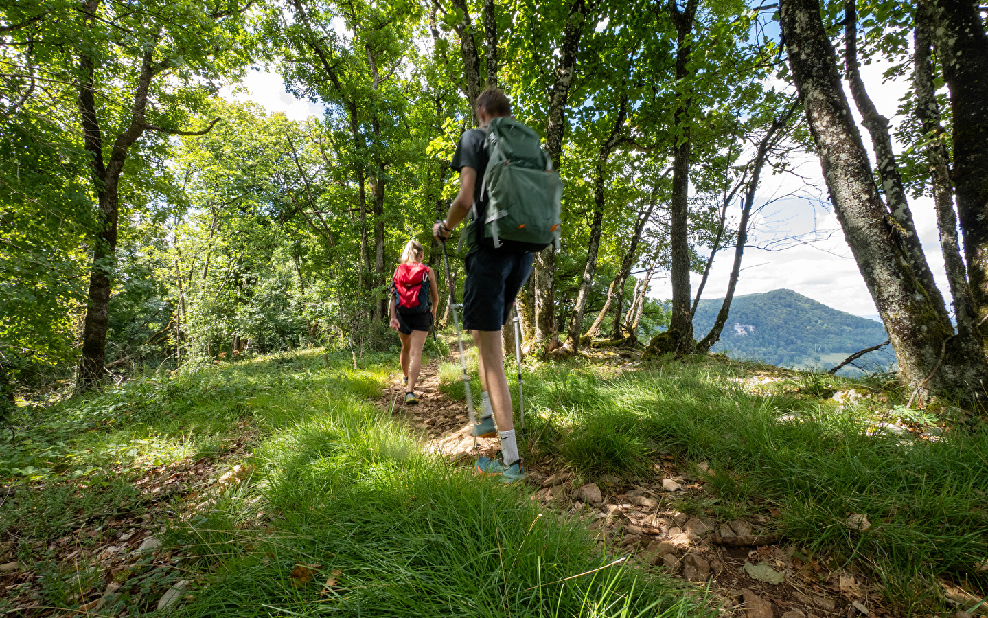 Wanderweg - der gratpfad