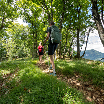Wanderweg - der gratpfad - CHAMPLIVE