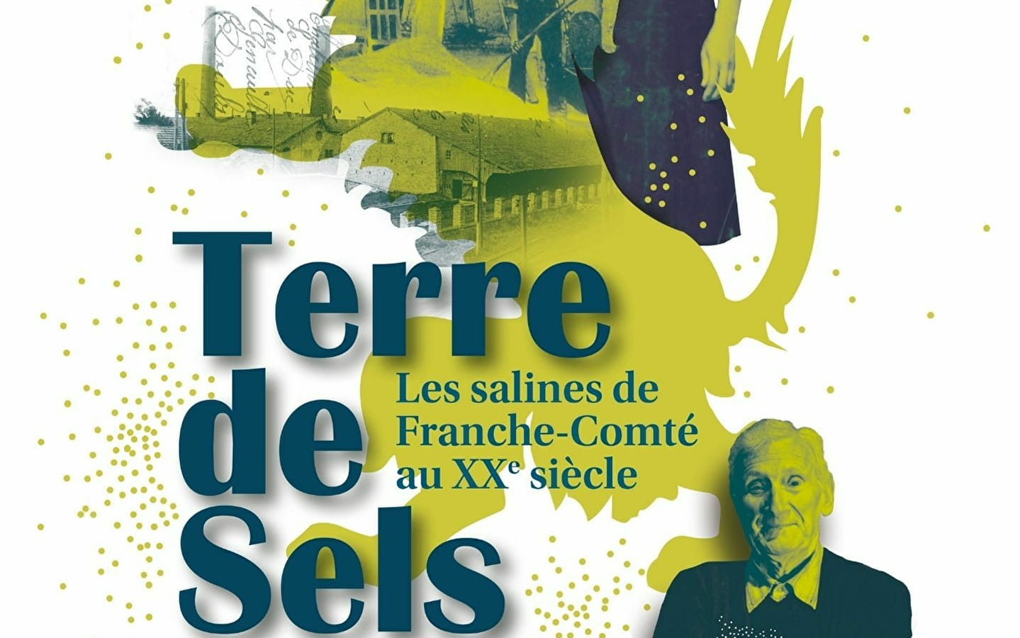 Terre de salels, les Salines en Franche-Comté au XXe siècle