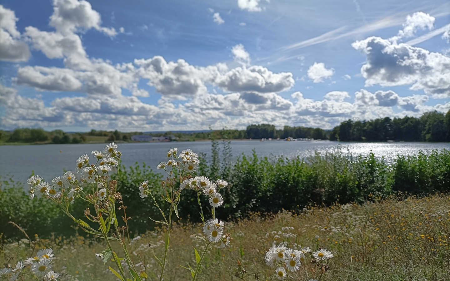 Rundgang durch Teiche, Kanäle und Grenzsteine