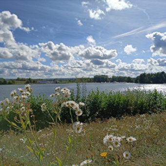 Rundgang durch Teiche, Kanäle und Grenzsteine - BROGNARD