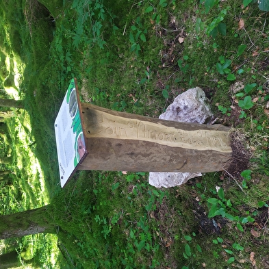Von der bergseitigen Ecke zur talseitigen Ecke