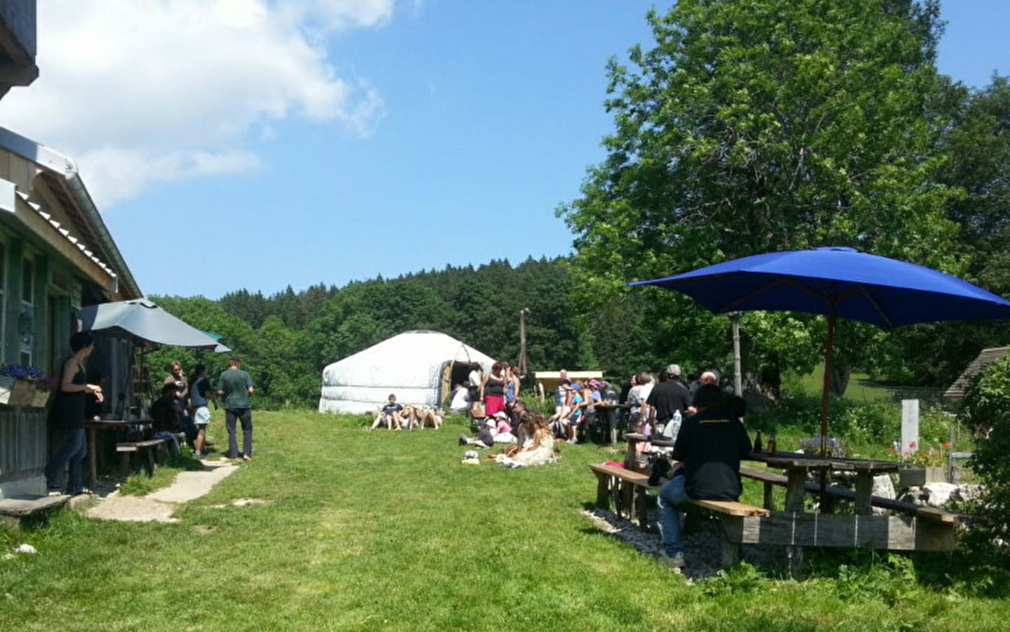 Besuch einer Alm und Brotzeit in der Hütte