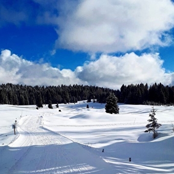 Piste rouge de ski de fond de Lachat : Le Mortier - HAUT VALROMEY