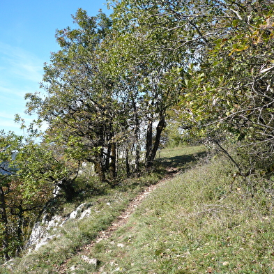 Circuit de randonnee pedestre - la vallee du doubs