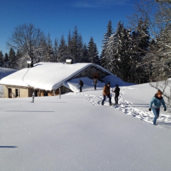 Gîte Les Roches d'Orvaz - BELLEYDOUX