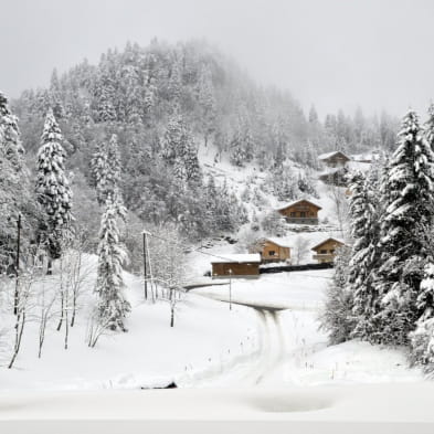 Le Crêt de la Neige - Grand Colombier