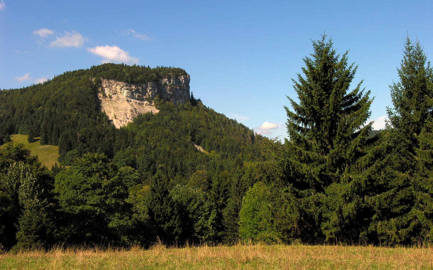 Der Mont Fier