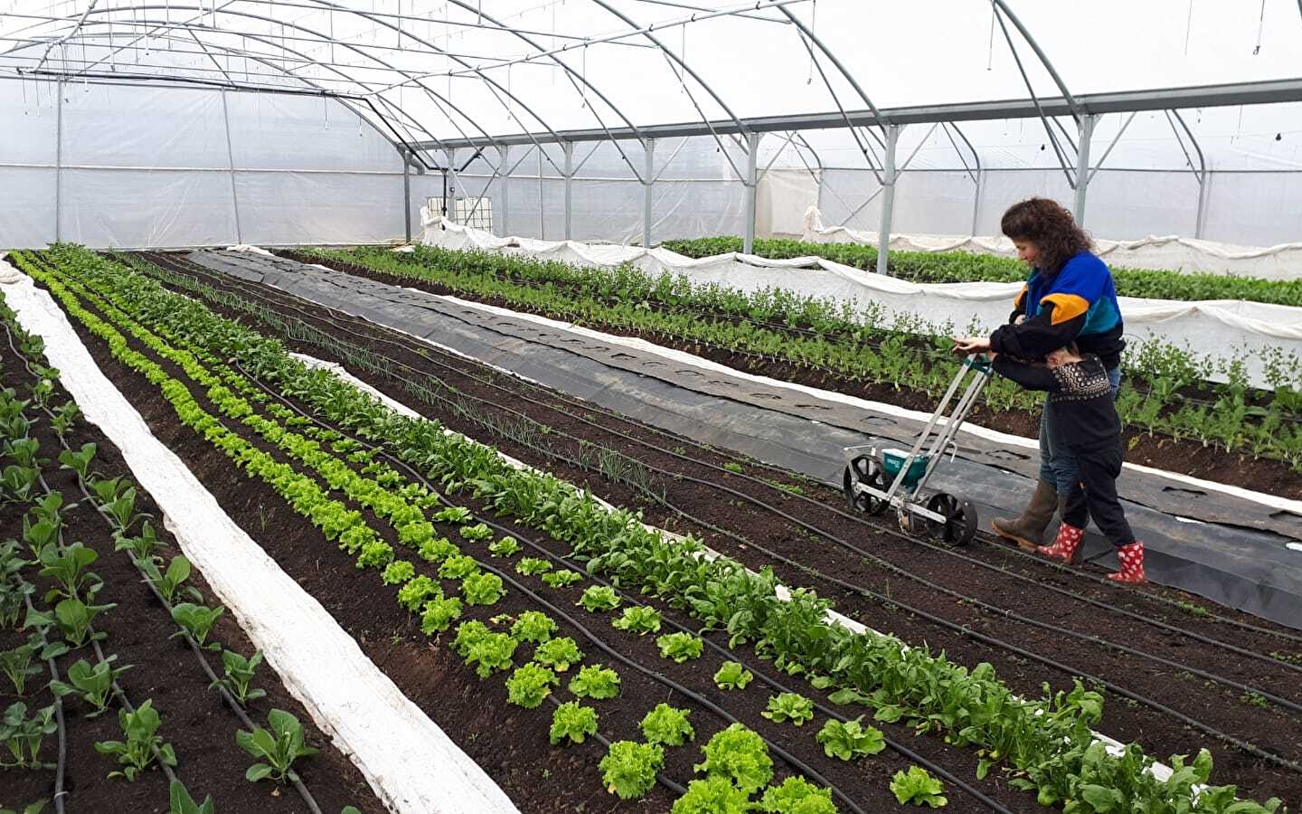 Besichtigung und Verkostung Route des Savoir-faire: La Ferme du Ruisseau
