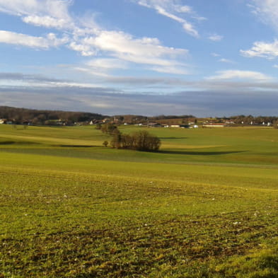 Auf dem Plateau der Ajoie 