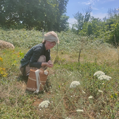 Tisanes et Bourgeons