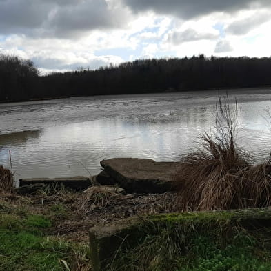 Etang des Baisses et ferme de Bévey (VTT)