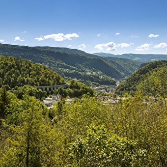 Direkter Zugang zur Madonna - MORBIER