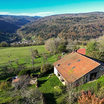 Milou - SAINT-GERMAIN-DE-JOUX