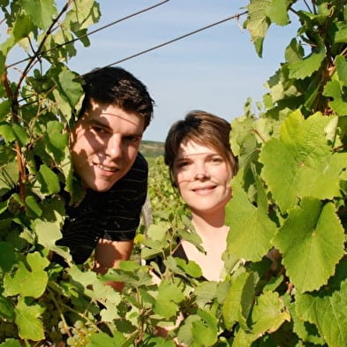 Offene Weinkeller der Domaine Désiré Petit