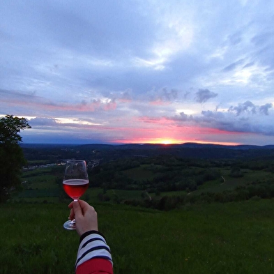 Vaingabond - Balade dans les vignes et apéro sunset