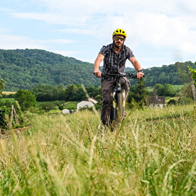 A Tour de Roues