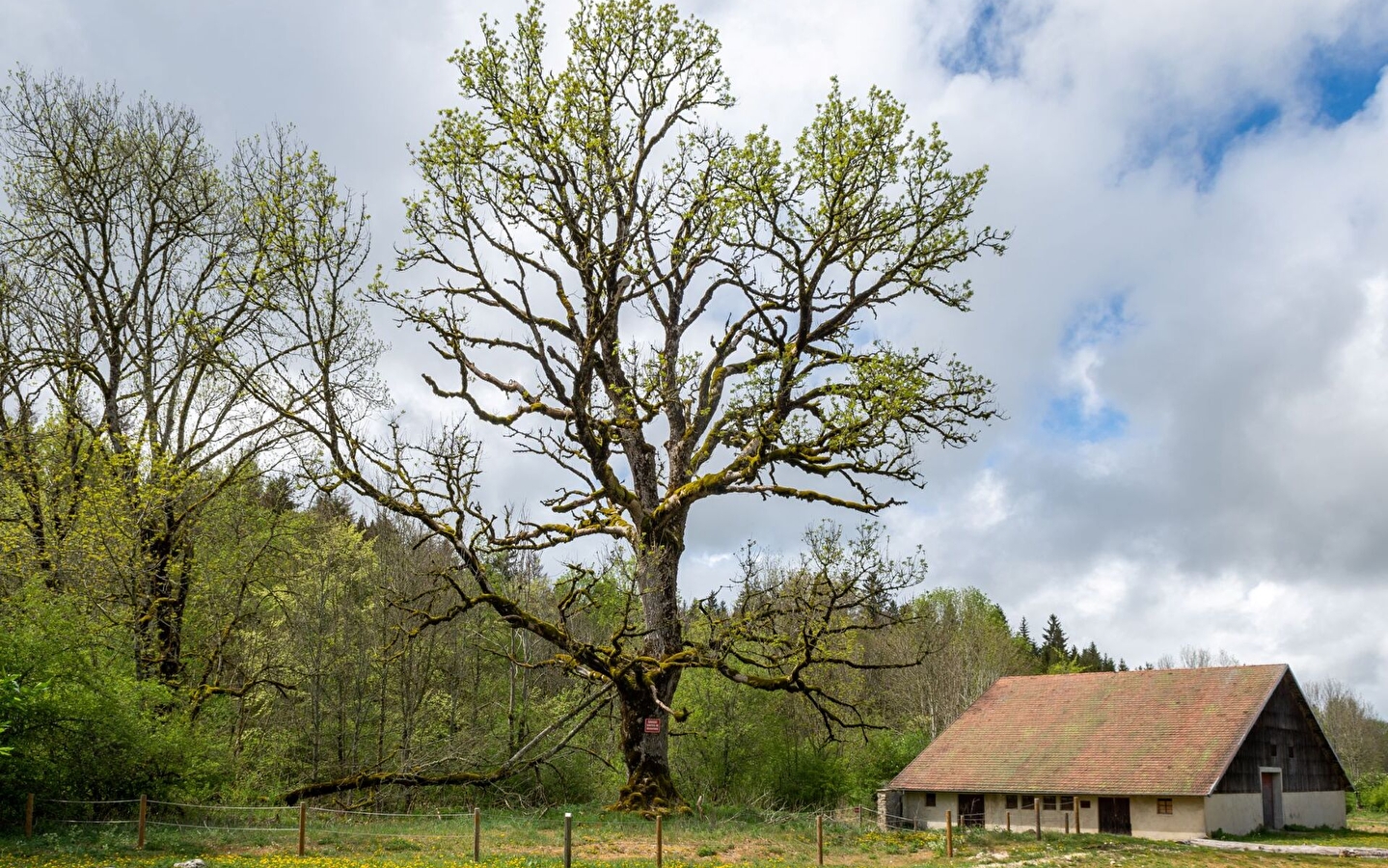 Le sentier de cessay