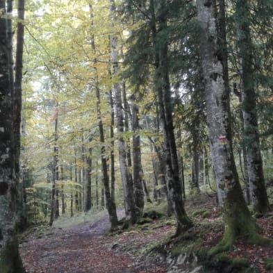 La Roche Brûlée (Der verbrannte Felsen)