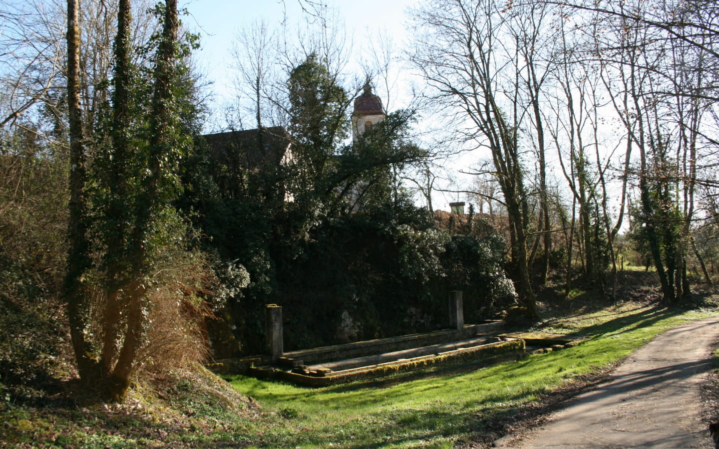 Die Weinberge