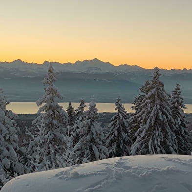 La fenêtre du Léman