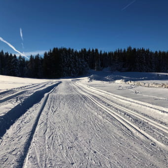 Piste de ski de fond de Lachat : petite verte - HAUT VALROMEY