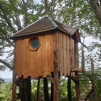 Cabane perchée dans les arbres 'la Lazine'