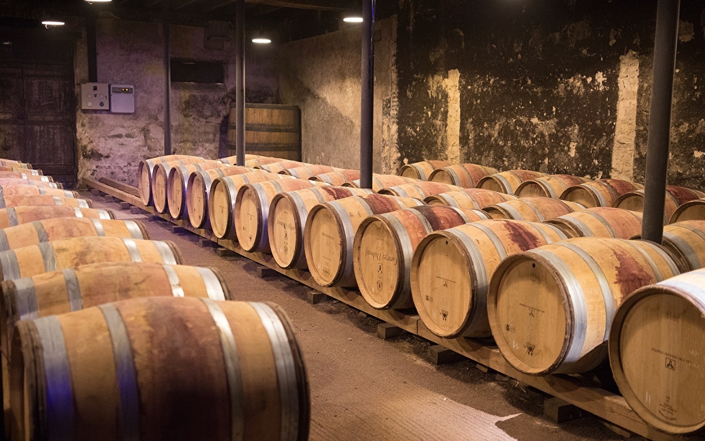 Abend Beaujolais nouveau