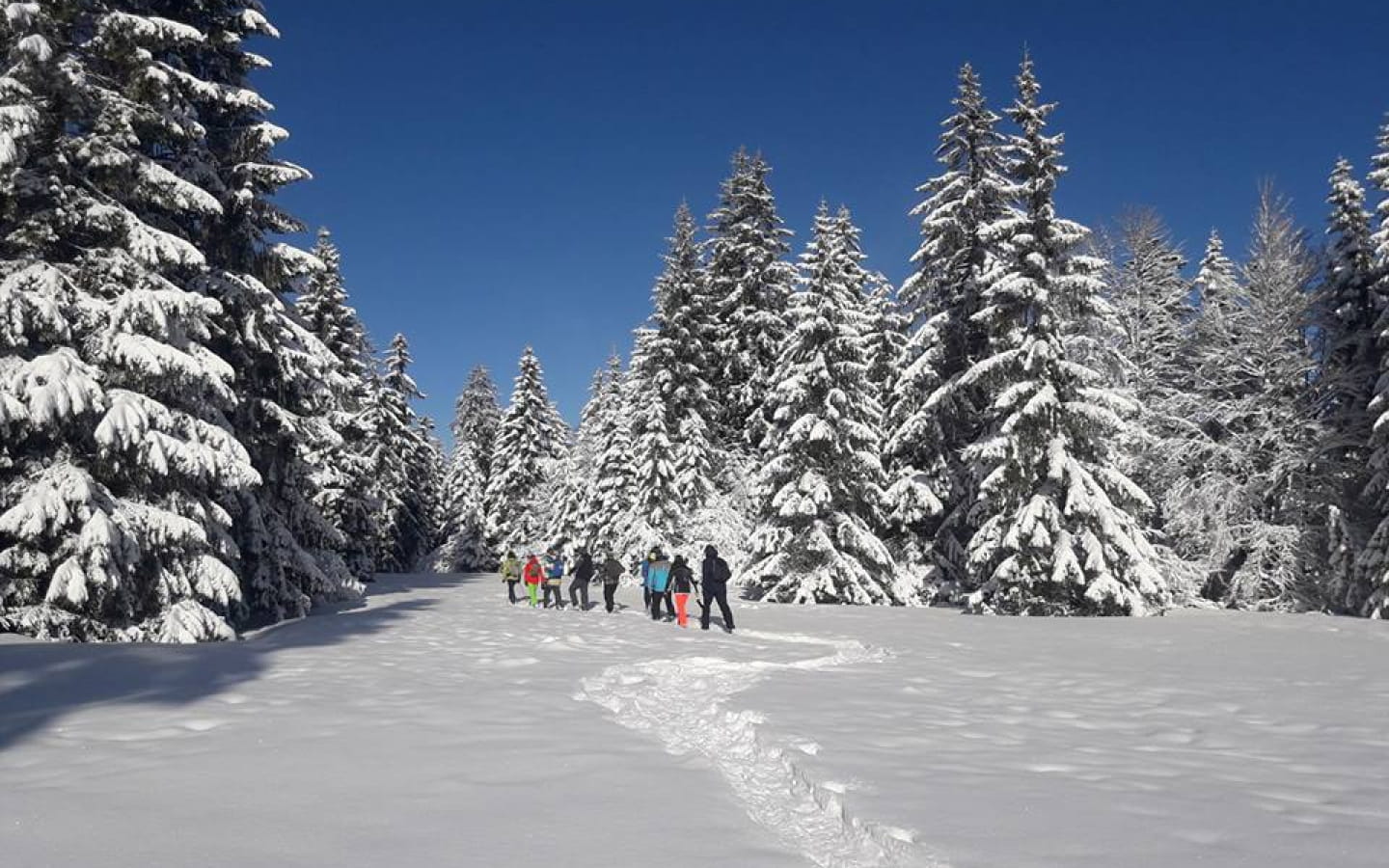 Schneeschuhanimation: Nicht die Orientierung verlieren