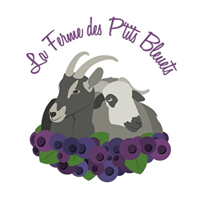 La Ferme des P'tits Bleuets - Fromage de chèvres et brebis