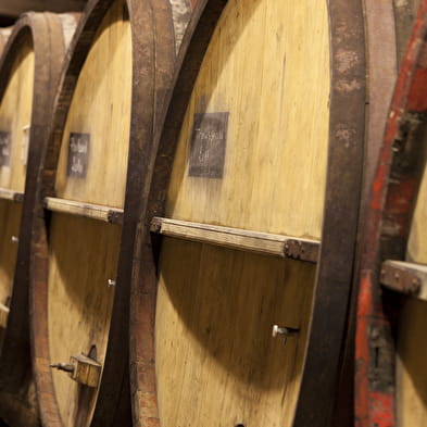 Kellerbesichtigung und Weinprobe im Château Béthanie