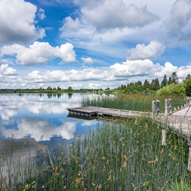 Le sentier des rives du lac