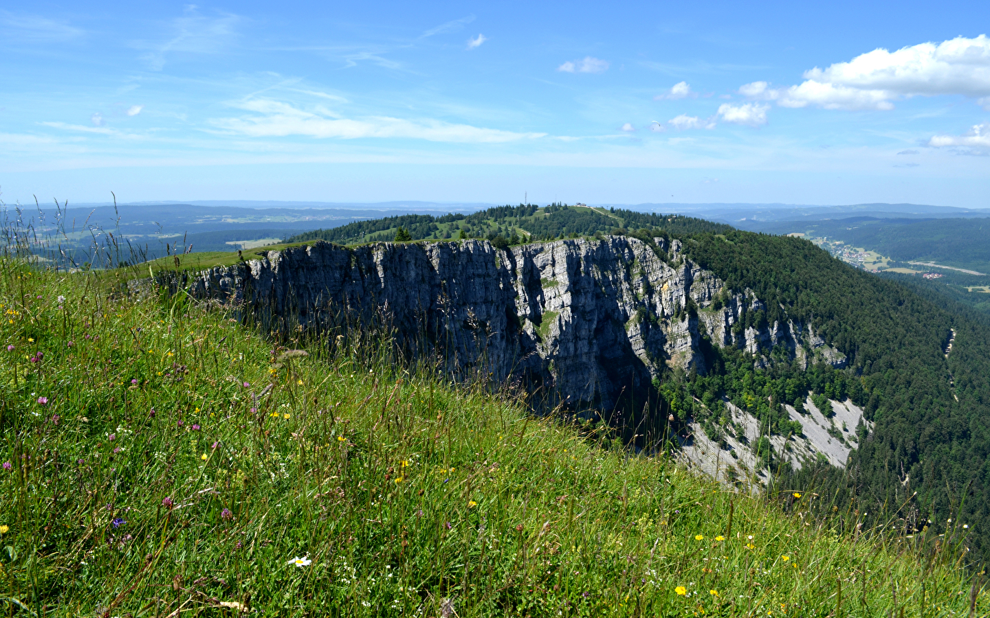 Wandern - Die Geheimnisse der Almen und Vorwälder