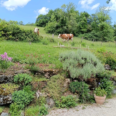 Moulin Vermoret