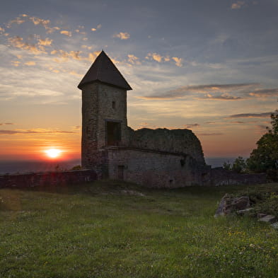 Tag des Kulturerbes im Château de Chevreaux