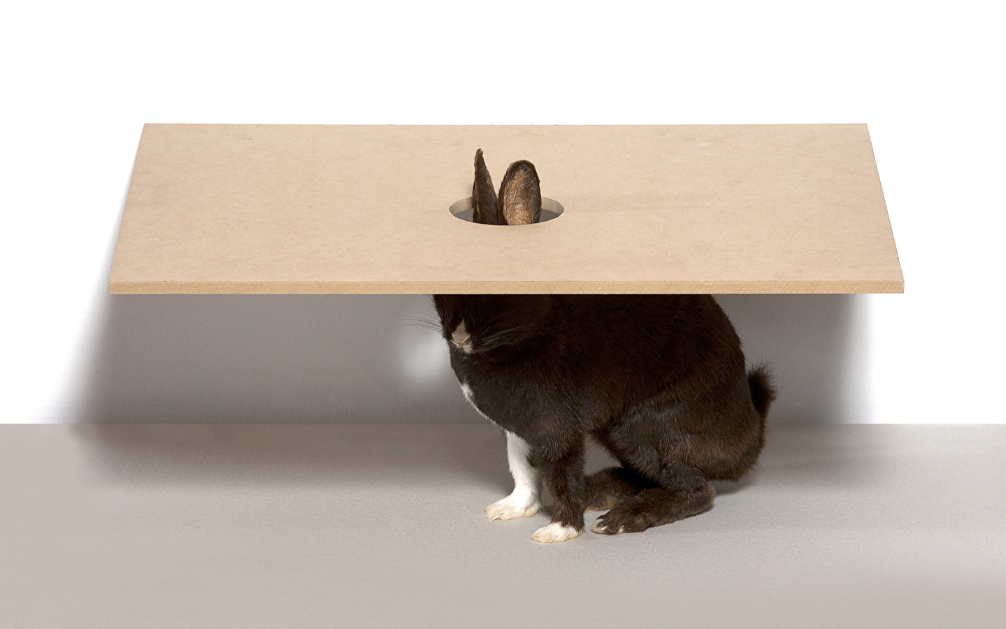 mdlx Sammlungen - Carte blanche an Michel Delacroix