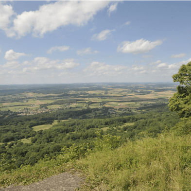 Dame Blanche und Vieux Tilleul