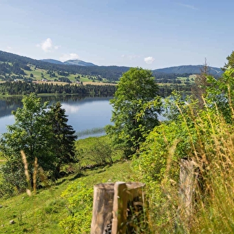 La boucle du Grand Tétras - Fahrradschleife 12 - LONGCHAUMOIS
