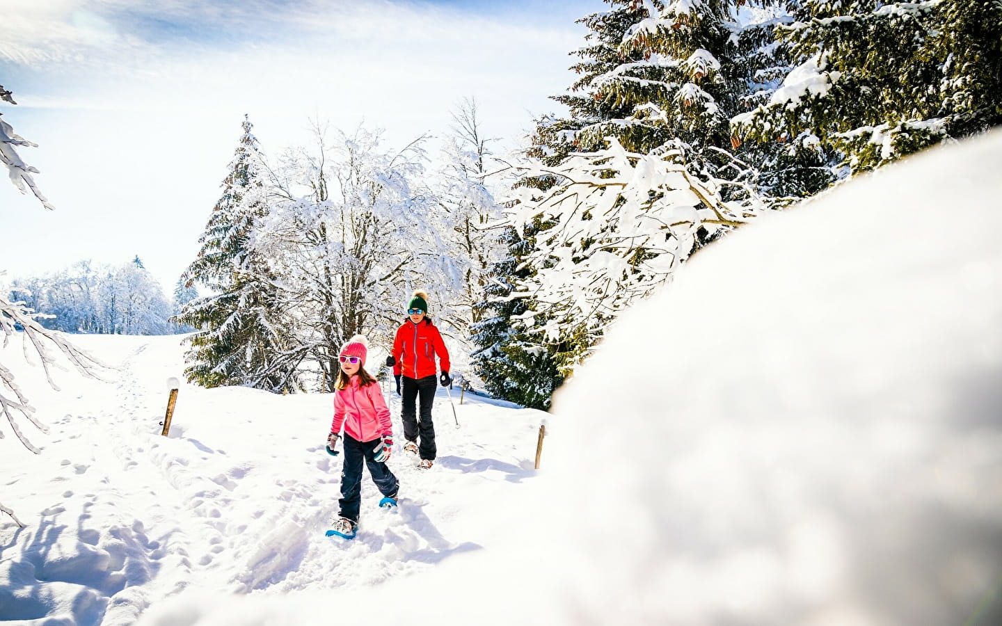 Die Große Juradurchquerung mit Schneeschuhen - GTJ raquette