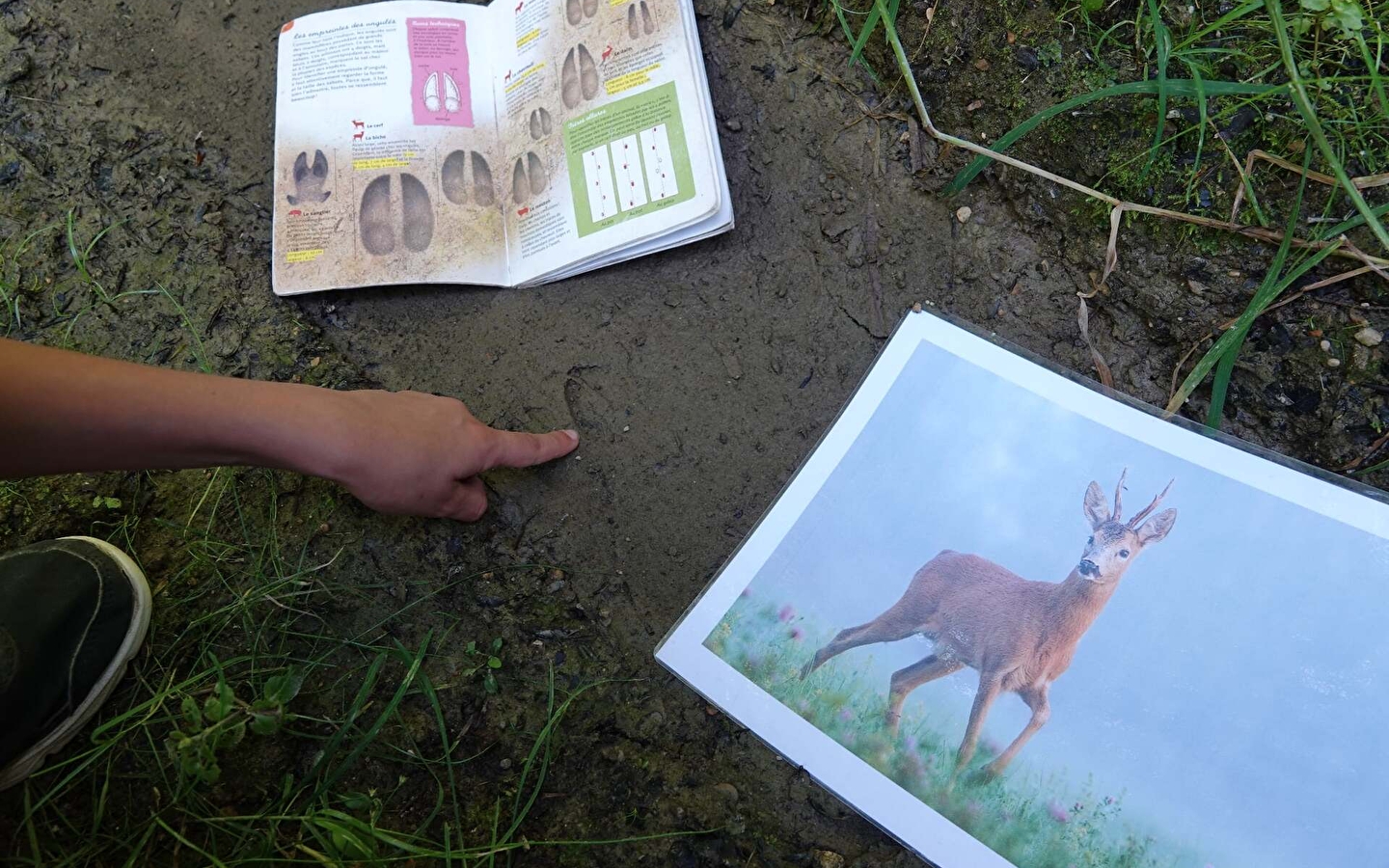 Lehrlinge der Fährtenleser