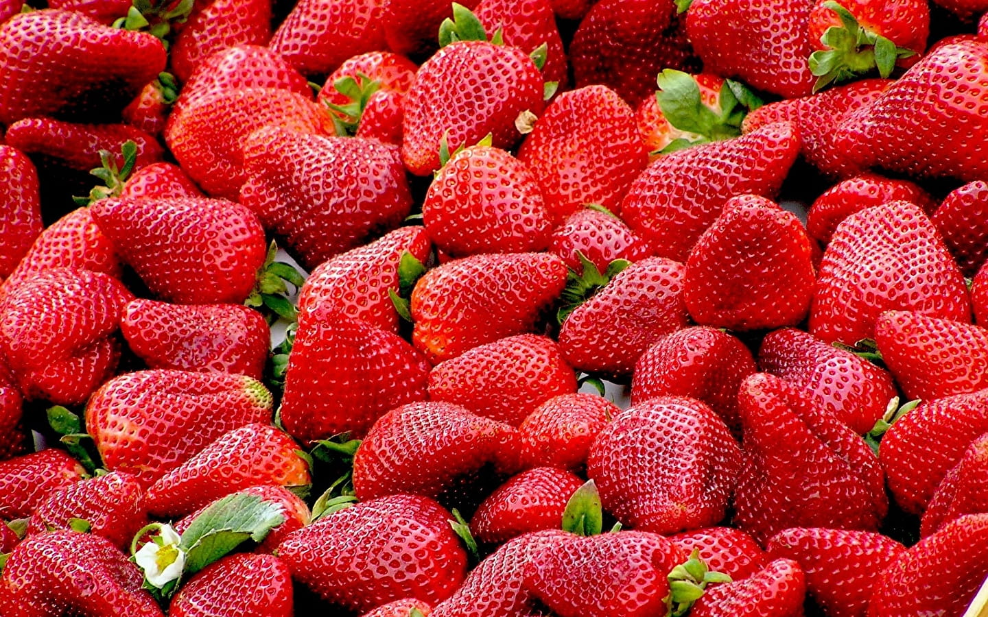 Nathalie Vinot - production de fraises et framboises