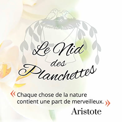 Le Nid des Planchettes