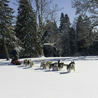 Les Nordiques de la Ferme sur la Roche - BELLEHERBE